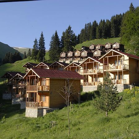 Zitas Zigana Yayla Tatil Koyu Macka Ngoại thất bức ảnh