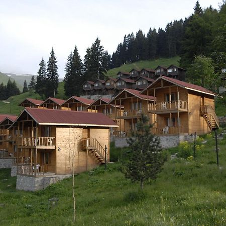 Zitas Zigana Yayla Tatil Koyu Macka Ngoại thất bức ảnh