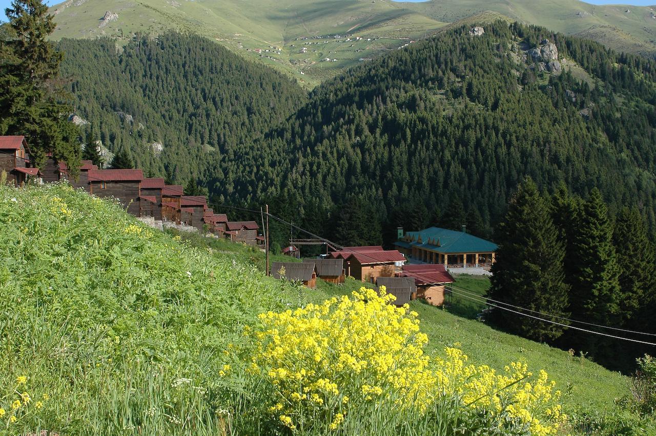 Zitas Zigana Yayla Tatil Koyu Macka Ngoại thất bức ảnh
