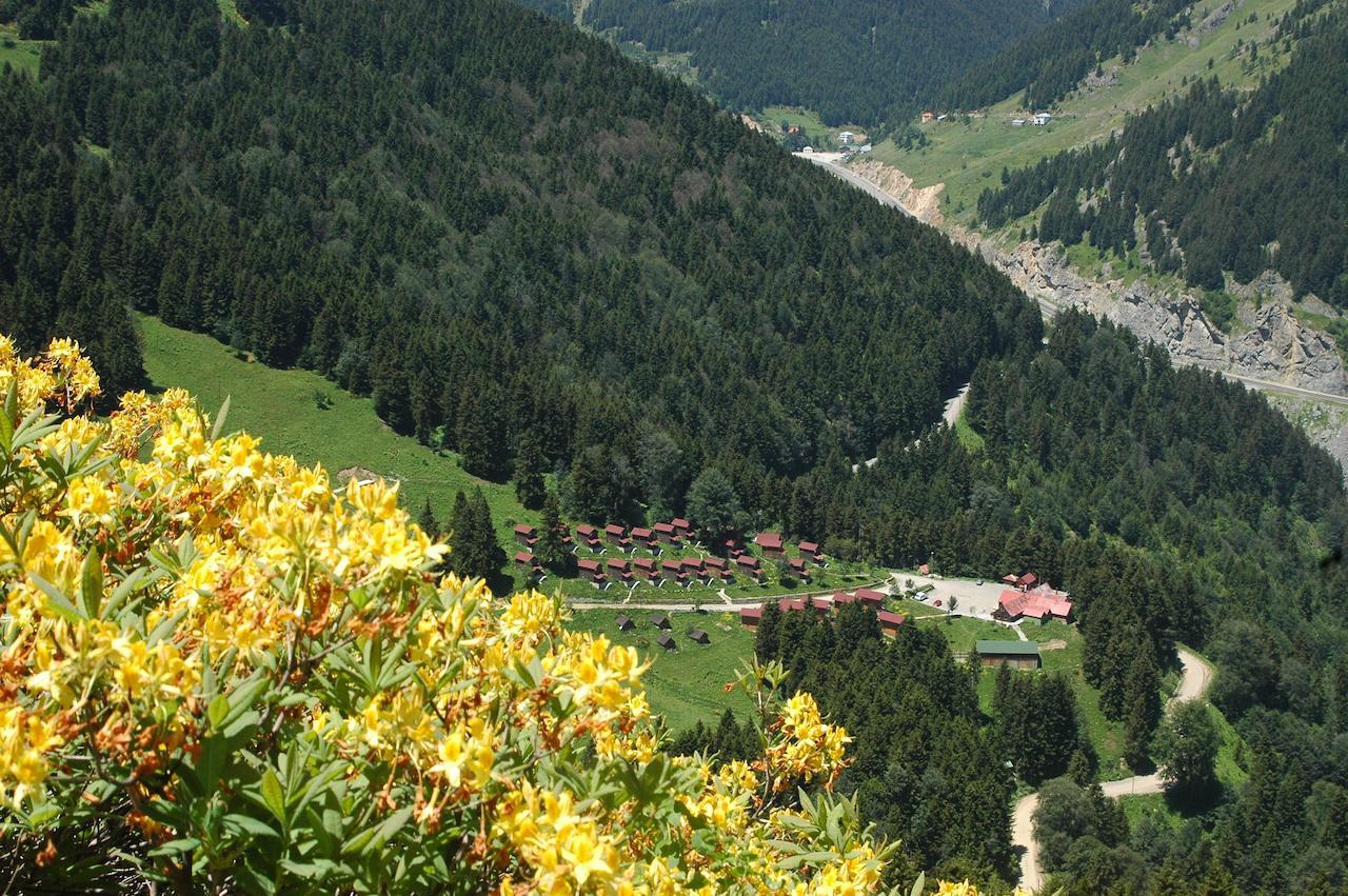 Zitas Zigana Yayla Tatil Koyu Macka Ngoại thất bức ảnh