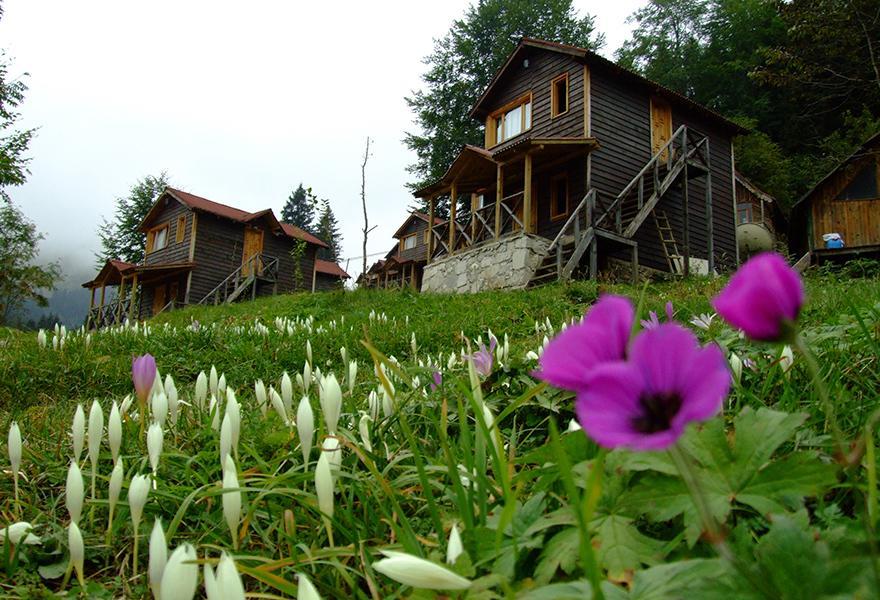 Zitas Zigana Yayla Tatil Koyu Macka Ngoại thất bức ảnh