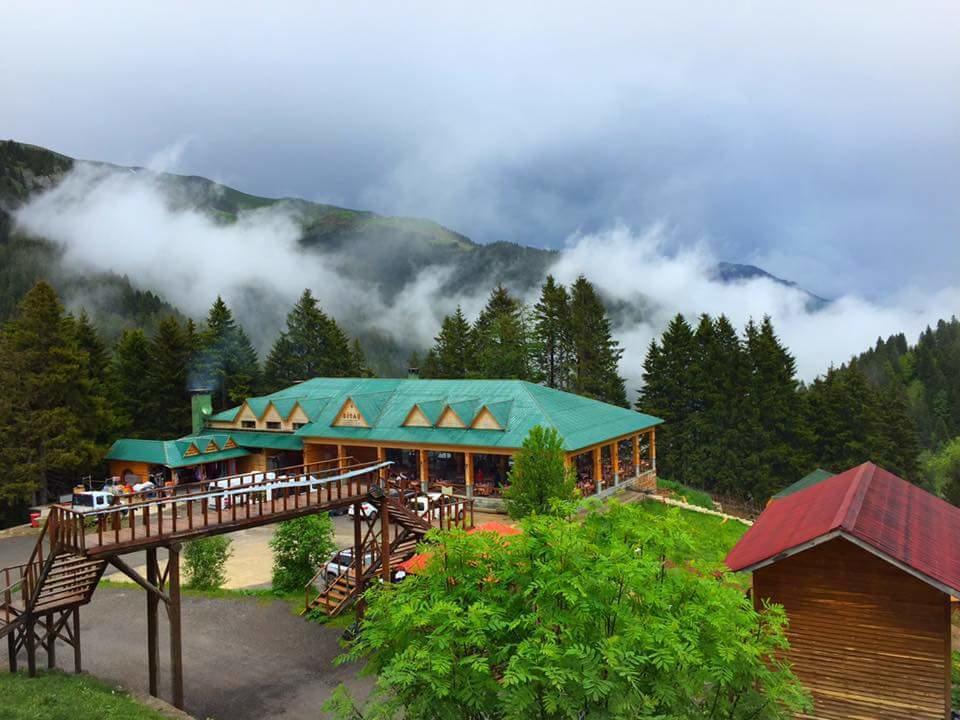 Zitas Zigana Yayla Tatil Koyu Macka Ngoại thất bức ảnh