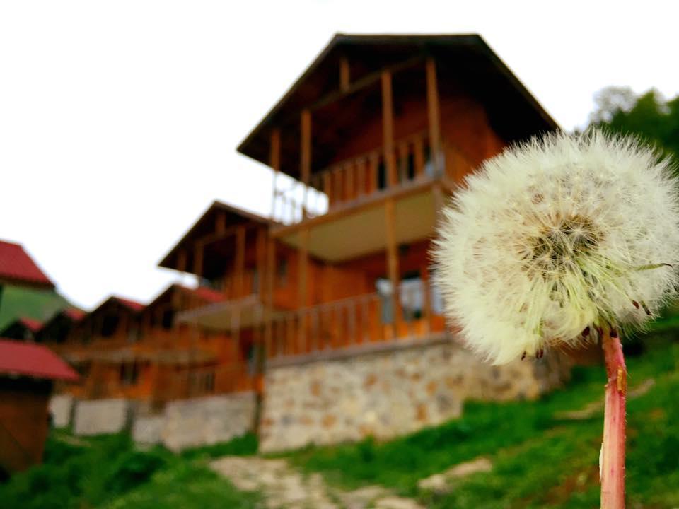 Zitas Zigana Yayla Tatil Koyu Macka Ngoại thất bức ảnh