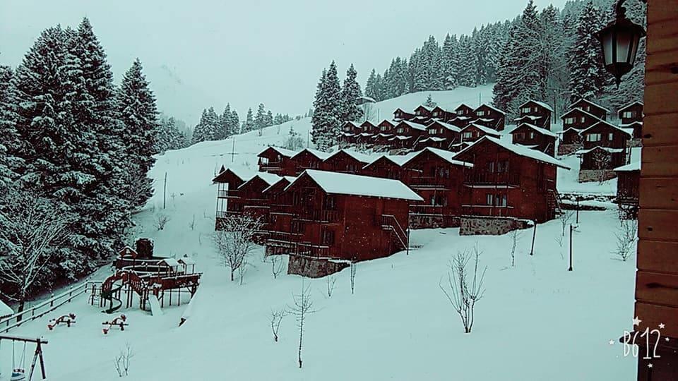 Zitas Zigana Yayla Tatil Koyu Macka Ngoại thất bức ảnh
